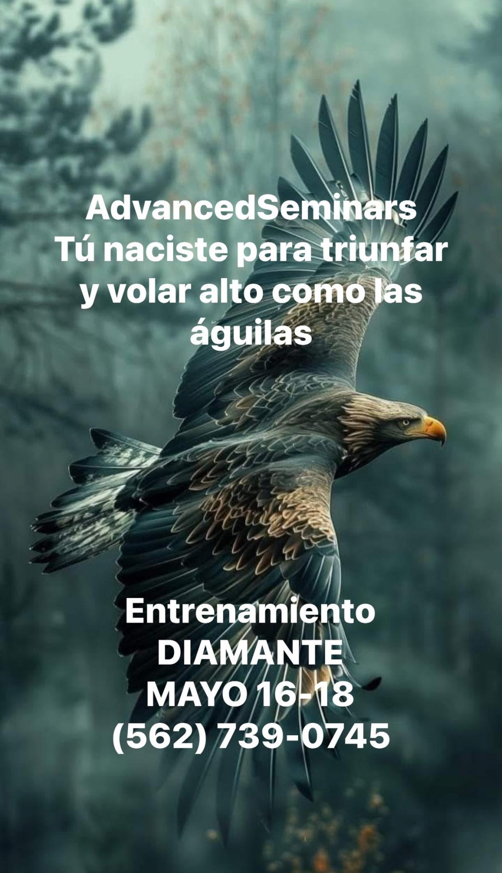 LEELO QUE ESTÁ DE LUJO ! !&nbsp;!